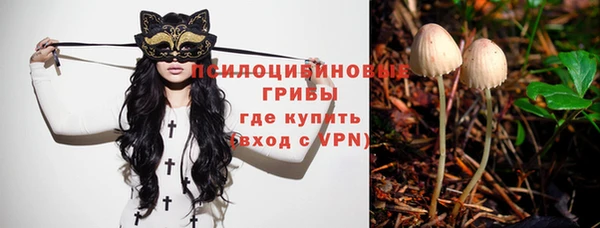 стаф Армянск