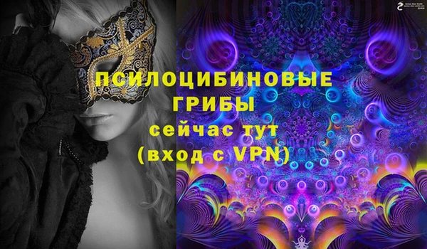2c-b Аркадак