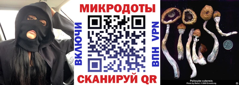 что такое   Балей  Псилоцибиновые грибы MAGIC MUSHROOMS 