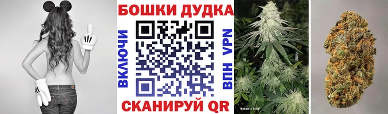 OMG как войти  Балей  Каннабис Amnesia 